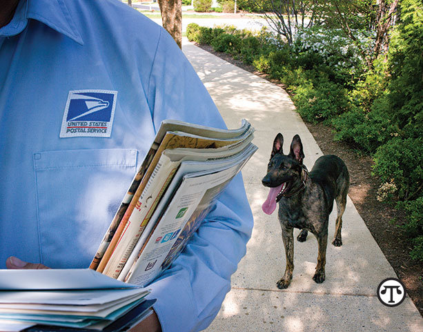 If your dog bites a postal carrier, it could cost    you thousands.