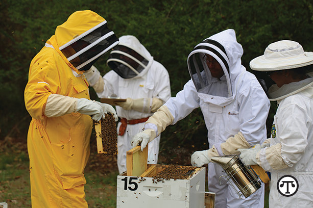Beekeepers shouldn’t worry about their fuzzy friends.