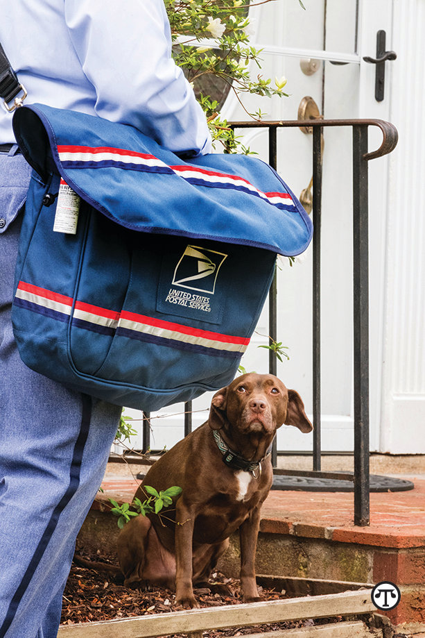 Contain your canine, keep carriers safe.