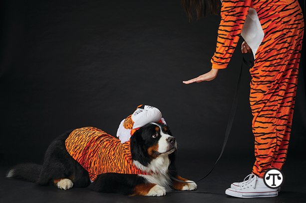 You and your pets can enjoy a happy Halloween in cute matching costumes.