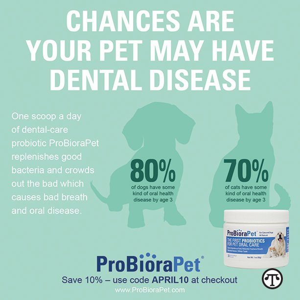 In a recent study, 88% of respondents reported that their pets’ breath has improved after taking a unique dental care product.