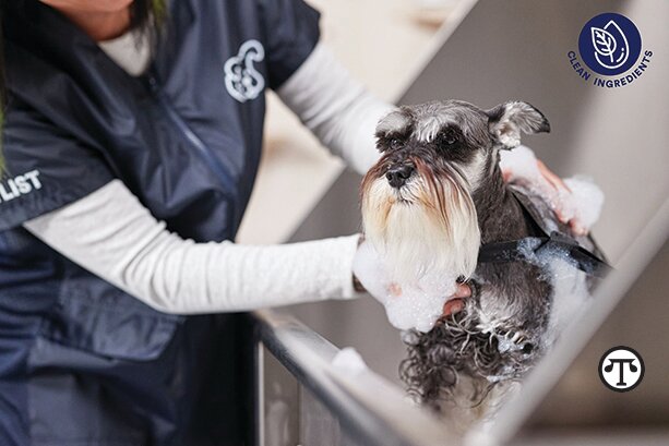 Grooming is essential to pets’ routine care and overall health.